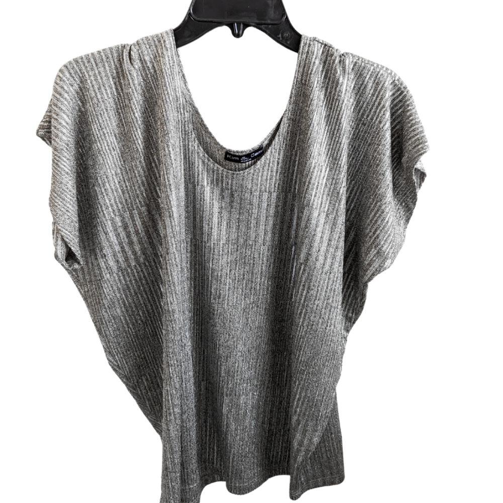 Gorgeous iridescent silver top size M